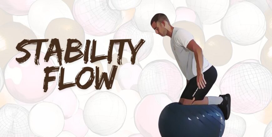 Copertina stability flow.jpg
